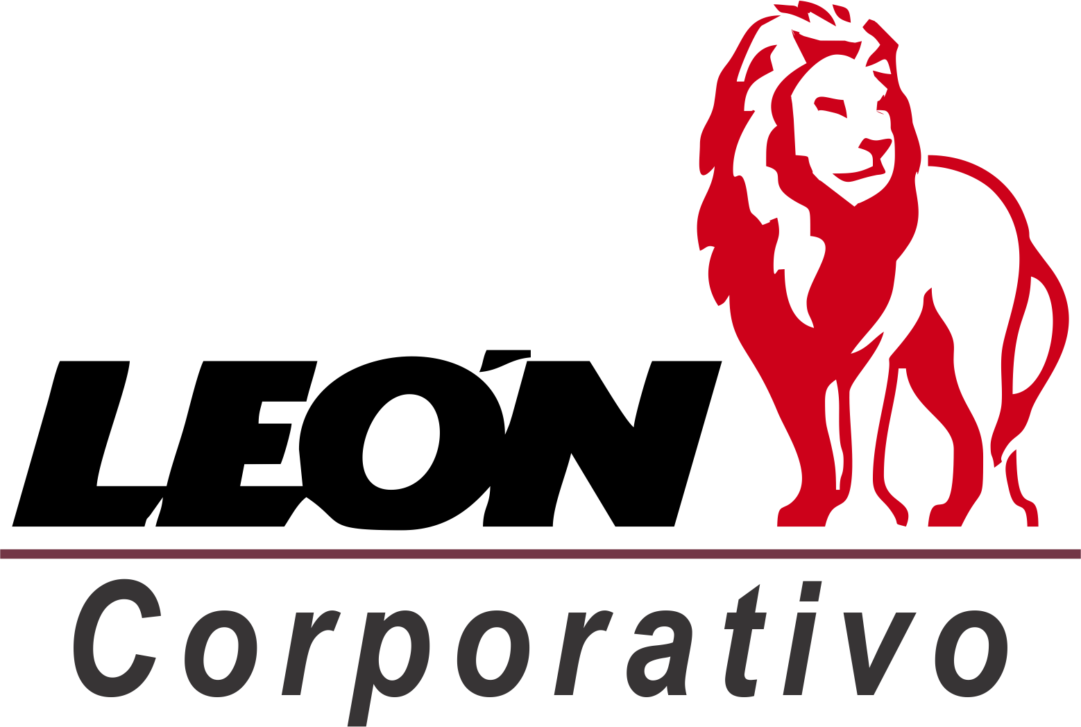 leoncorp.com.mx